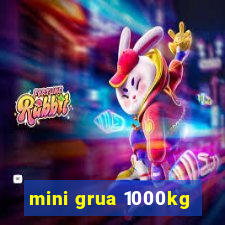 mini grua 1000kg